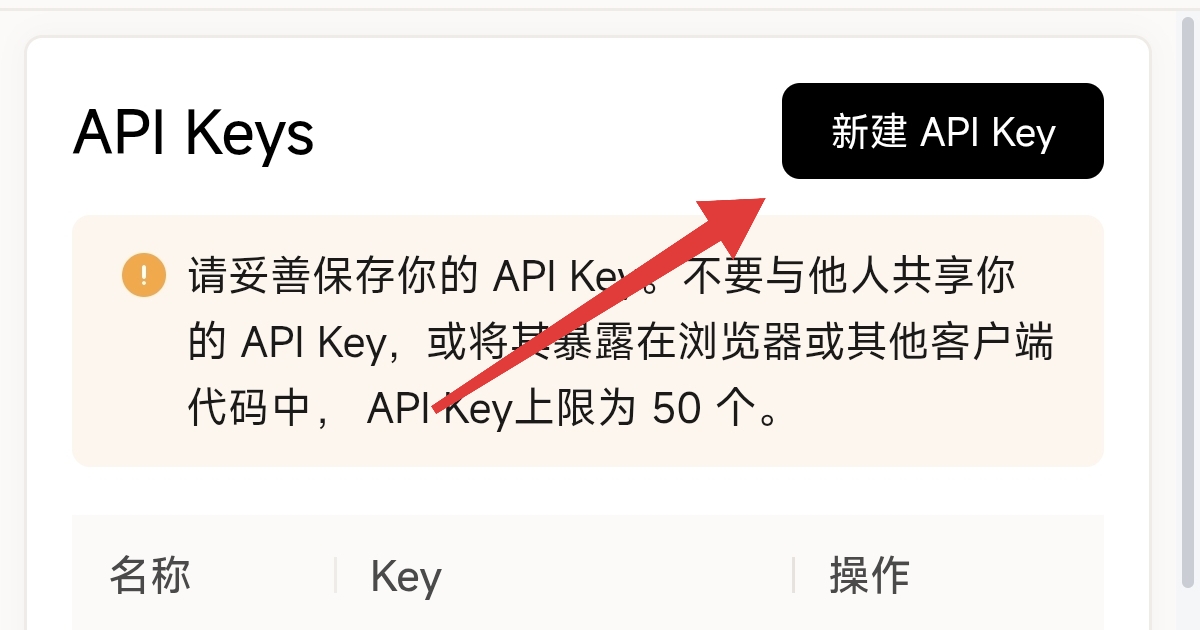 API Keys 页面：新建 API Key 按钮